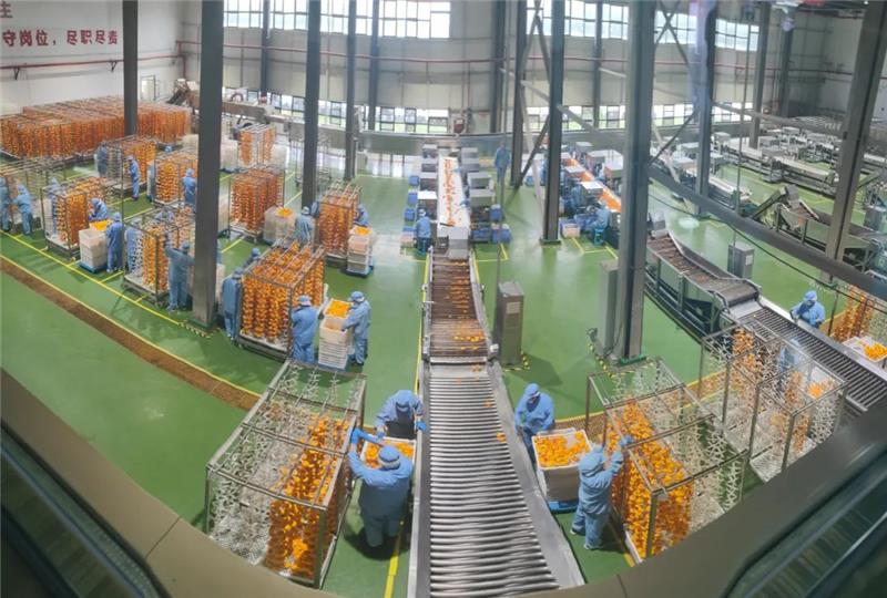 NG28南宫(中国)官方网站
