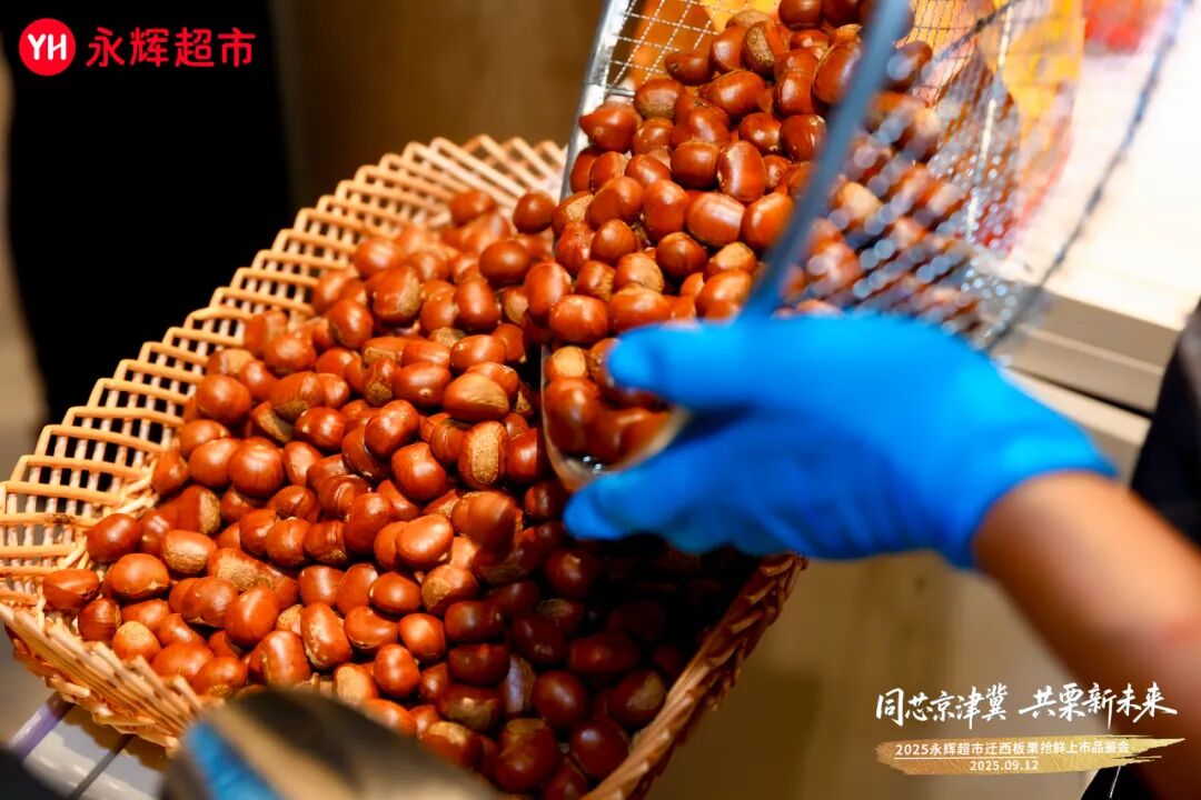 NG28南宫(中国)官方网站