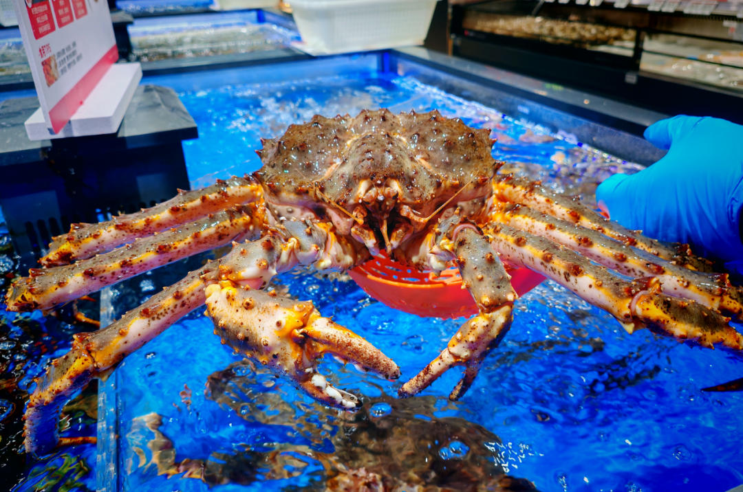 NG28南宫(中国)官方网站