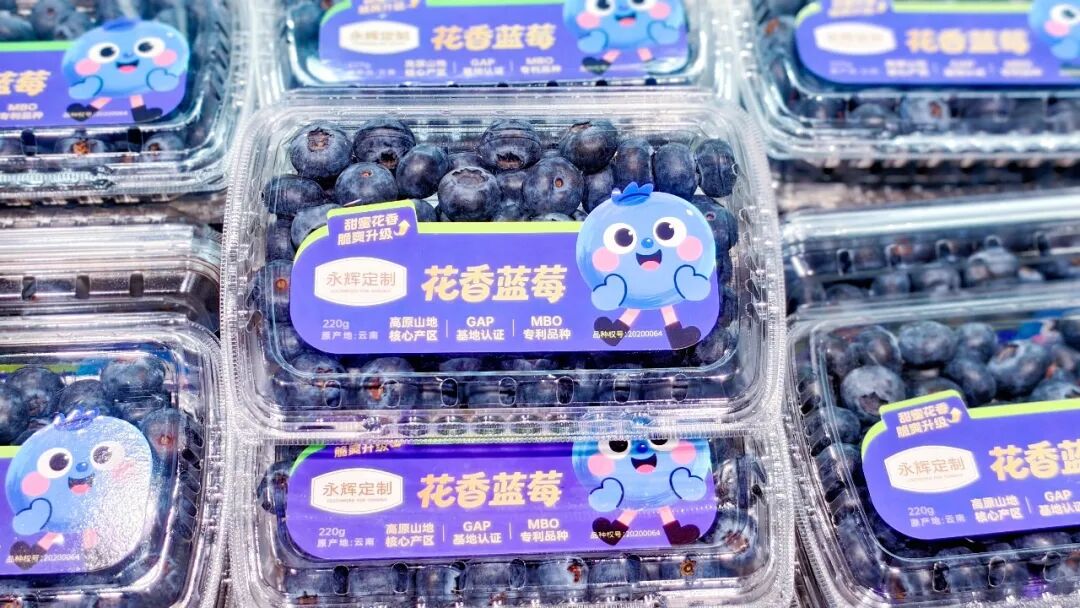 NG28南宫(中国)官方网站