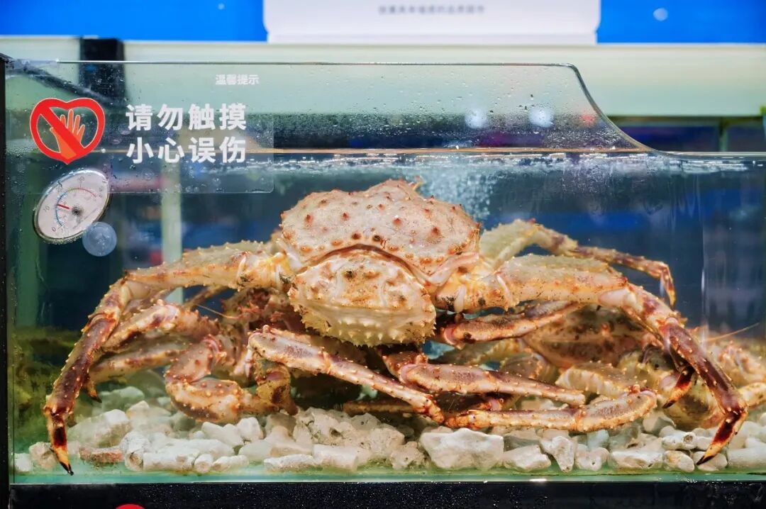 NG28南宫(中国)官方网站