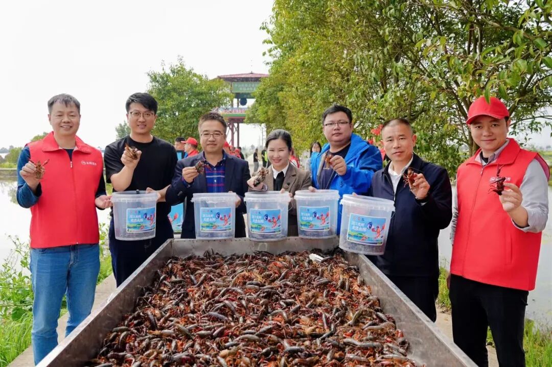 NG28南宫(中国)官方网站