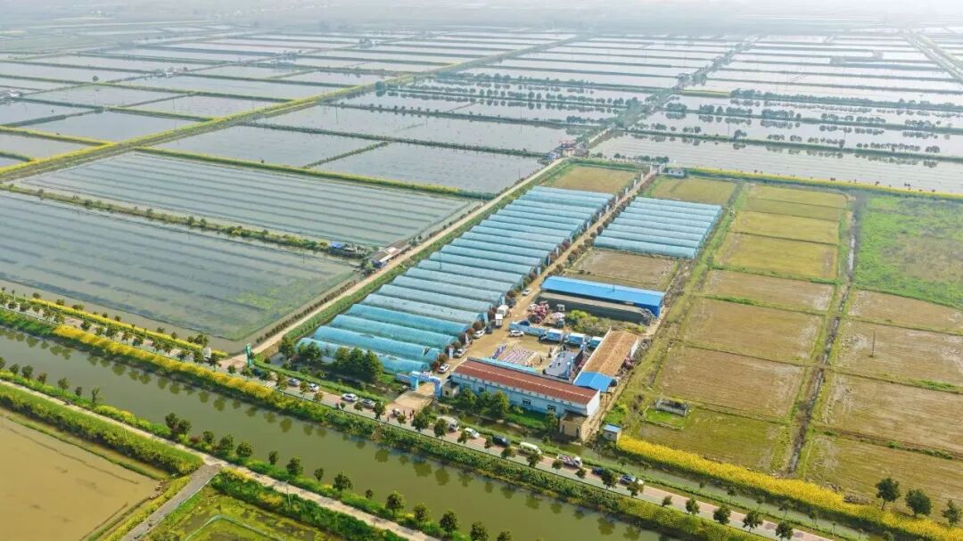 NG28南宫(中国)官方网站