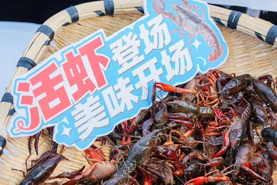 NG28南宫(中国)官方网站