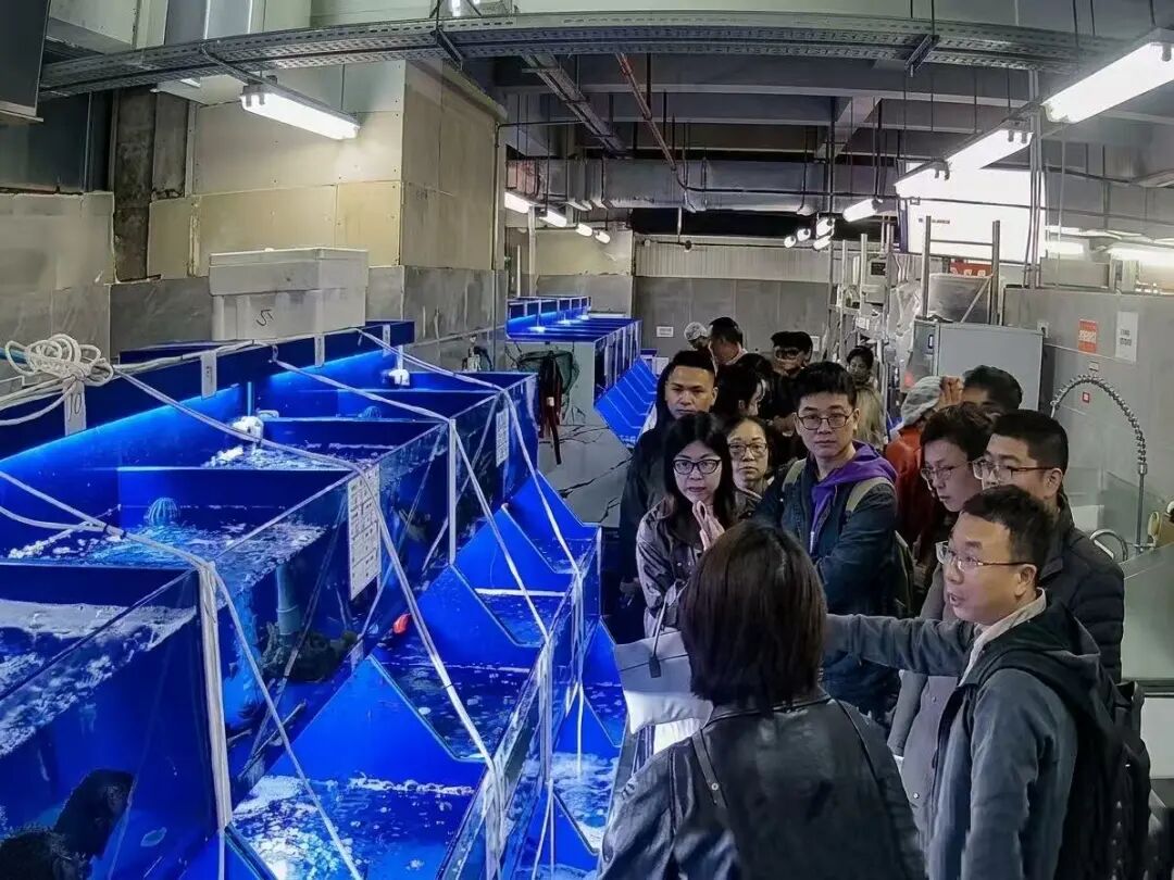NG28南宫(中国)官方网站