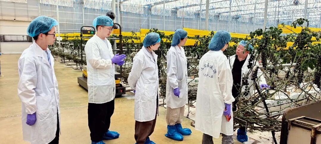 NG28南宫(中国)官方网站