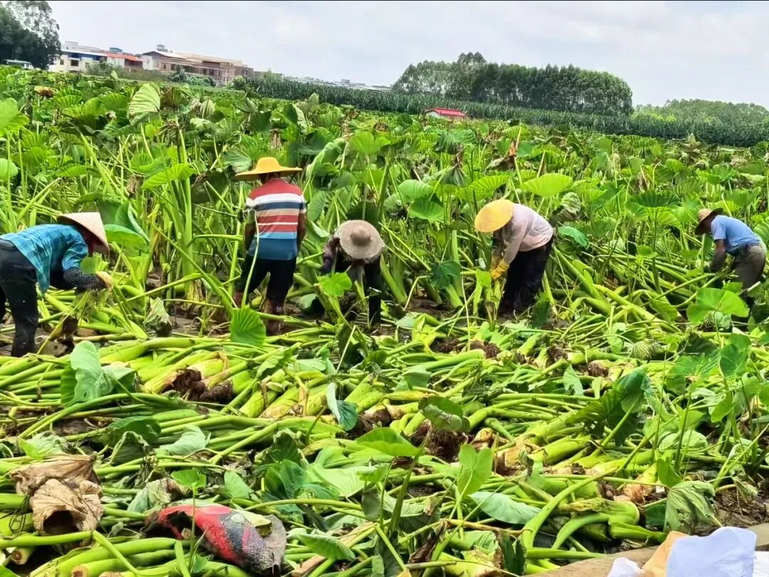 NG28南宫(中国)官方网站
