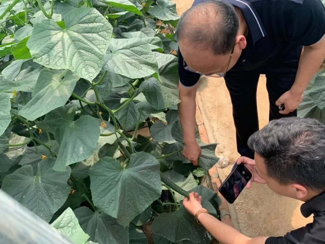 NG28南宫(中国)官方网站