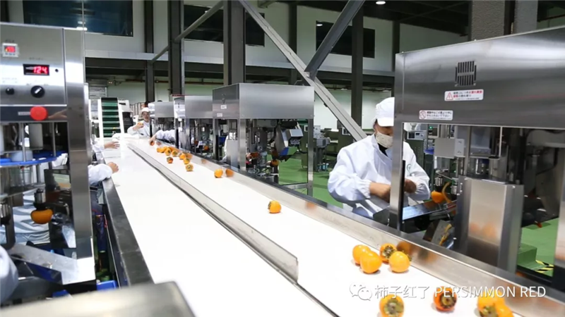 NG28南宫(中国)官方网站