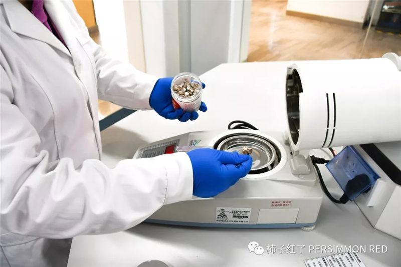 NG28南宫(中国)官方网站