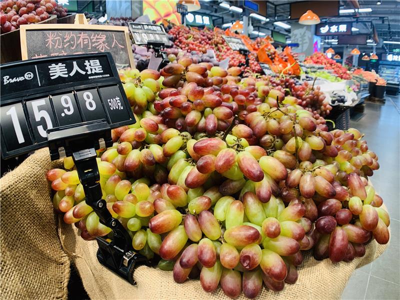NG28南宫(中国)官方网站