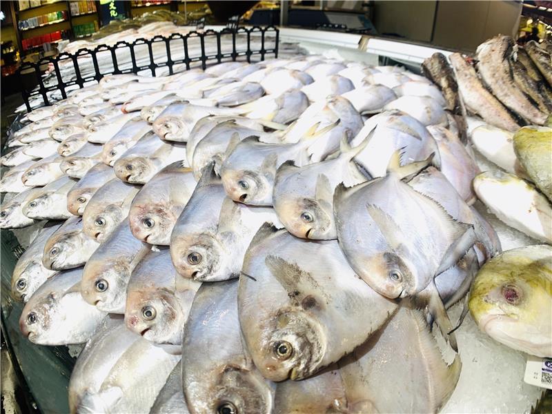 NG28南宫(中国)官方网站