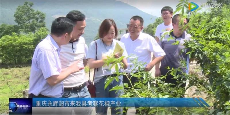 NG28南宫(中国)官方网站
