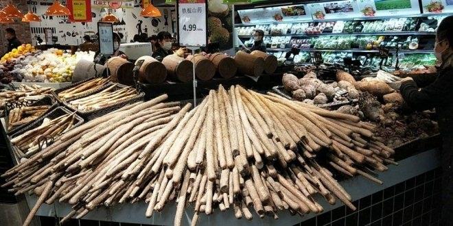 NG28南宫(中国)官方网站