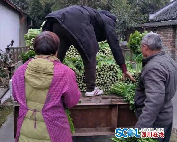 NG28南宫(中国)官方网站
