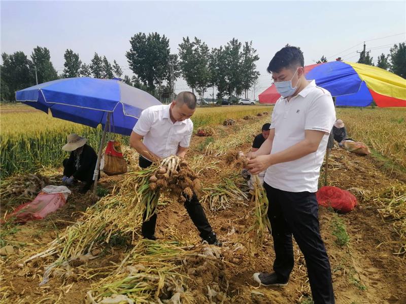 NG28南宫(中国)官方网站