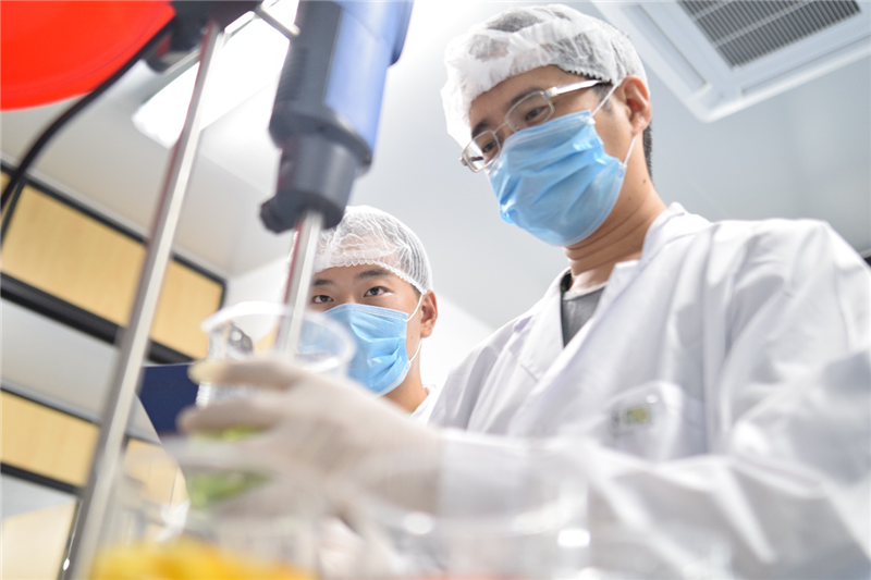 NG28南宫(中国)官方网站