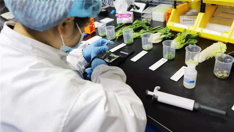 NG28南宫(中国)官方网站