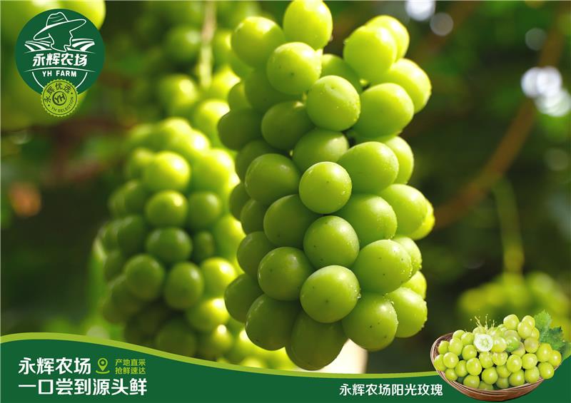 NG28南宫(中国)官方网站