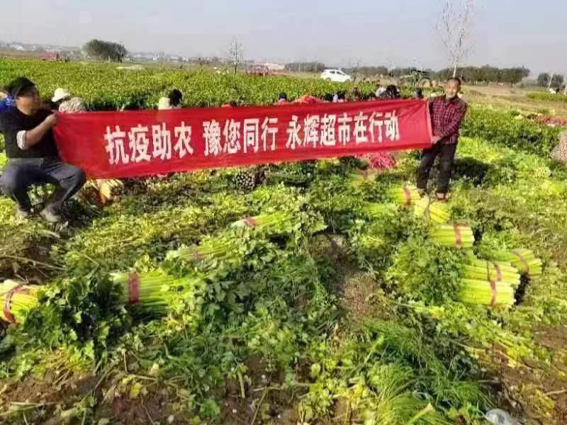 NG28南宫(中国)官方网站