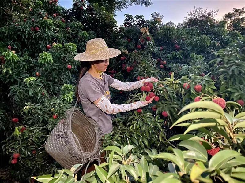 NG28南宫(中国)官方网站