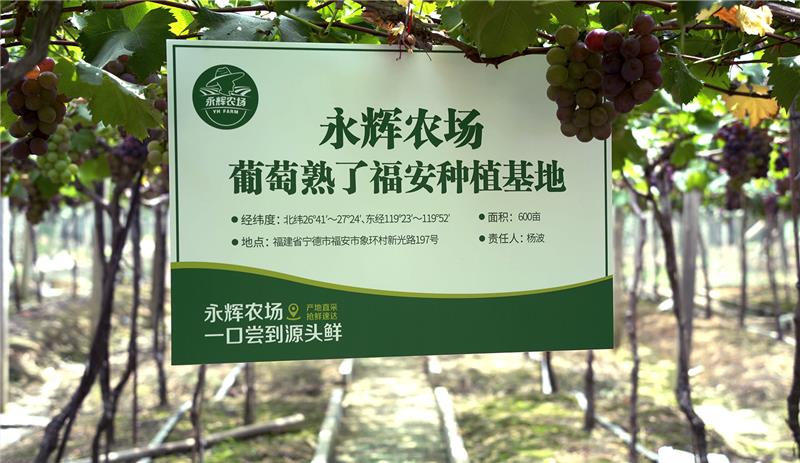 NG28南宫(中国)官方网站