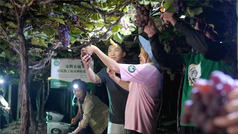 NG28南宫(中国)官方网站