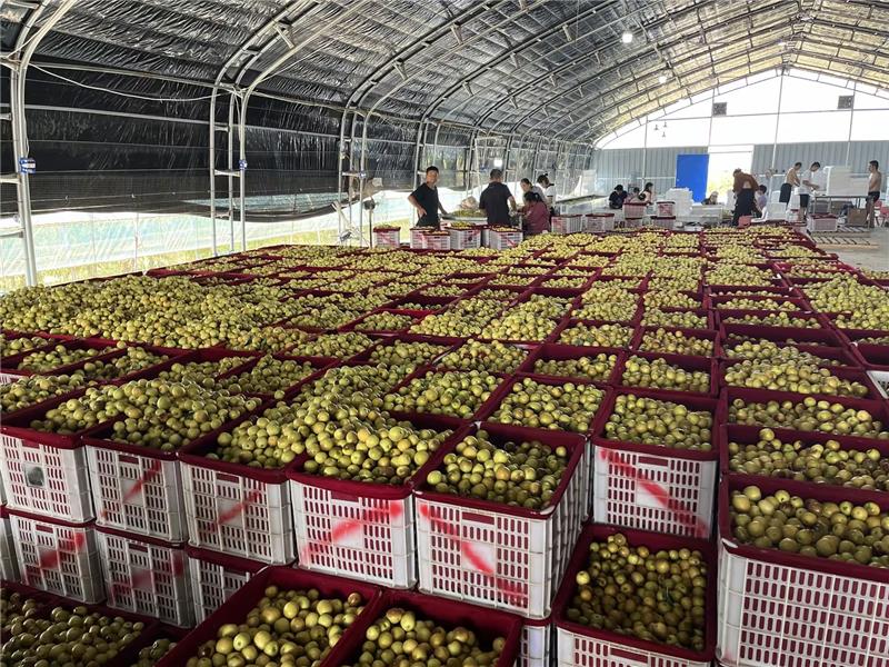 NG28南宫(中国)官方网站