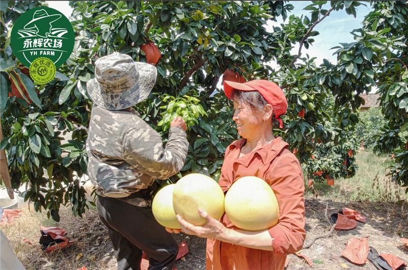 NG28南宫(中国)官方网站