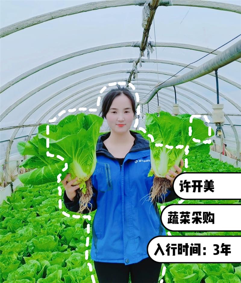 NG28南宫(中国)官方网站