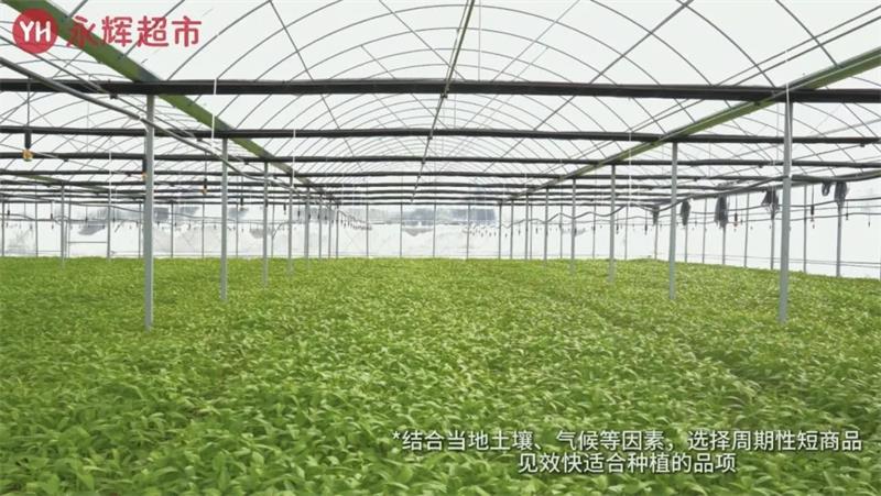 NG28南宫(中国)官方网站