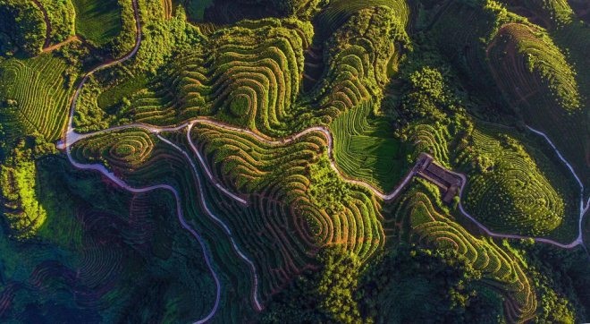 NG28南宫(中国)官方网站